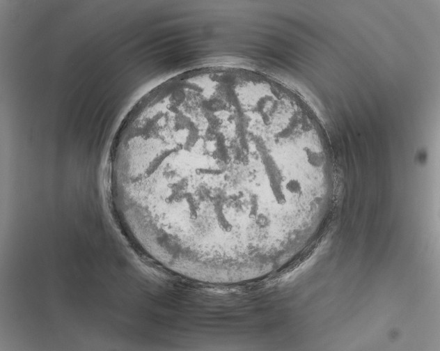 X0000116561125201001211217