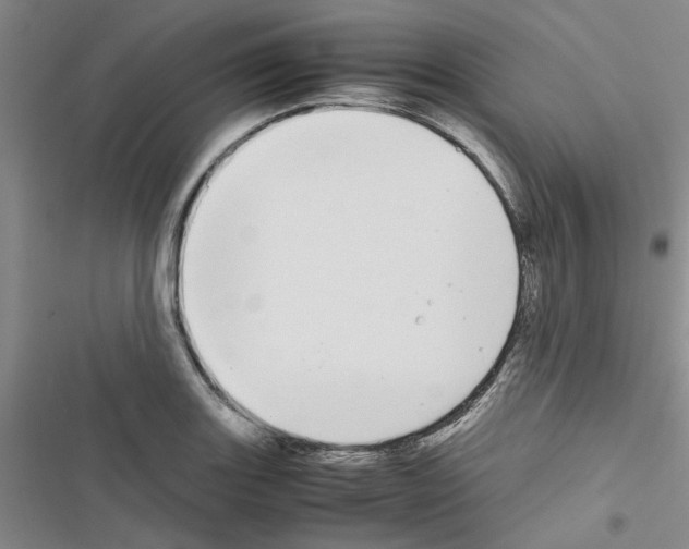 X0000116561131201001211217