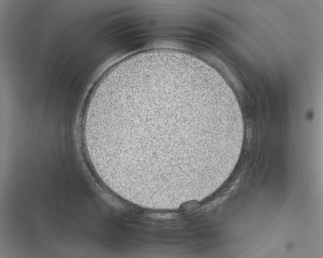 X0000116561133201001211217