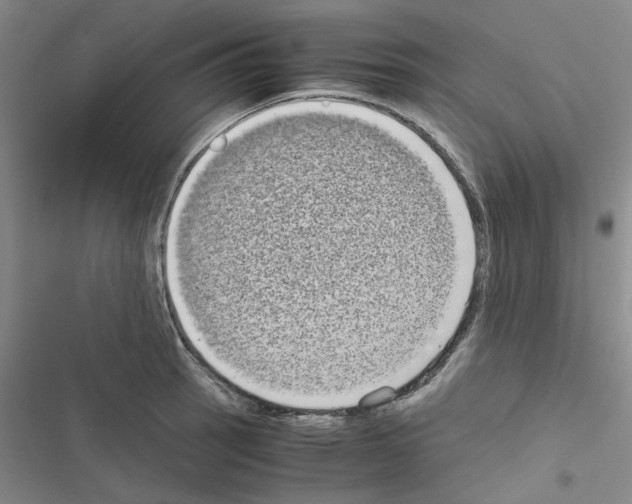 X0000116561137201001211217
