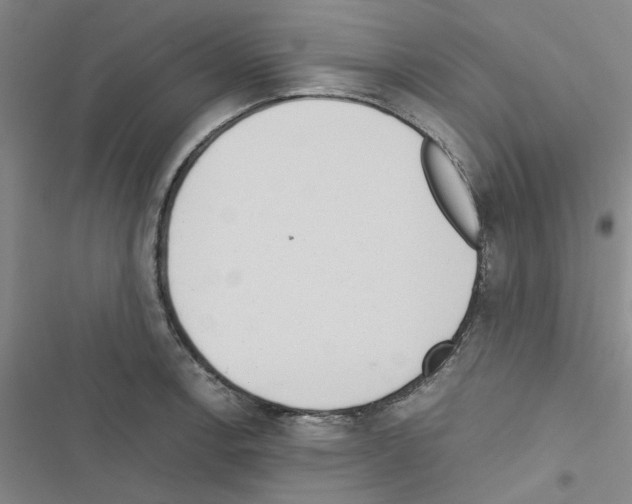 X0000116561138201001211217