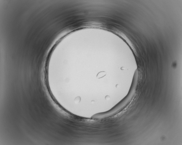 X0000116561139201001211217
