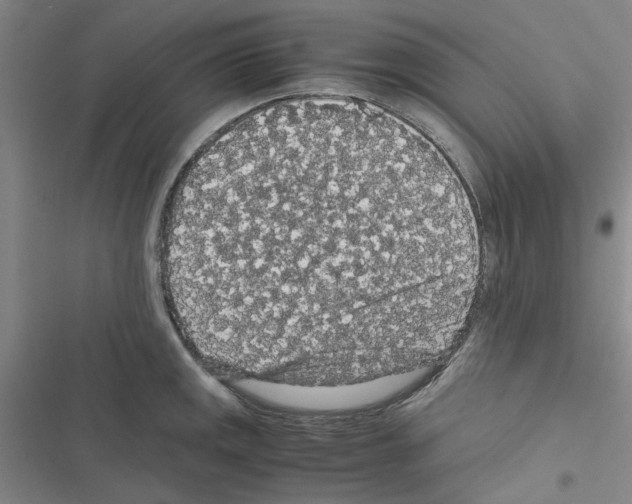 X0000116561141201001211217