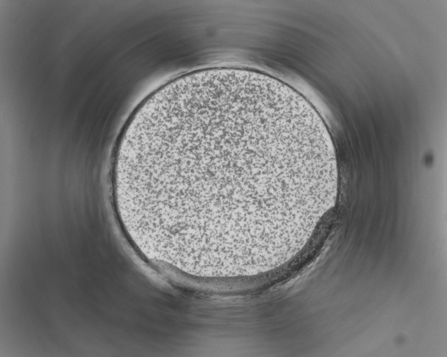 X0000116561142201001211217