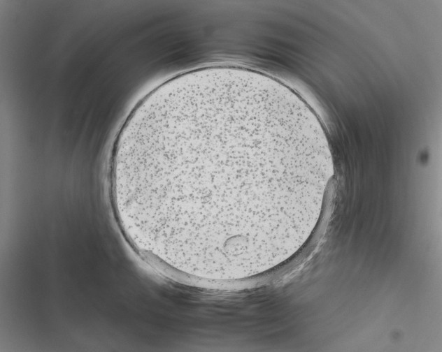 X0000116561143201001211217