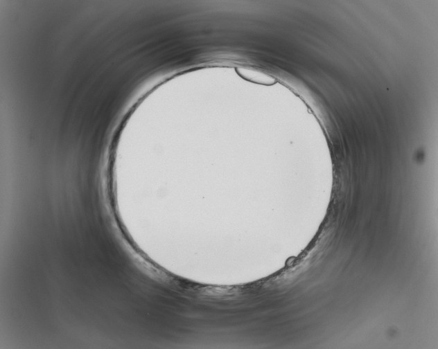 X0000116561147201001211217