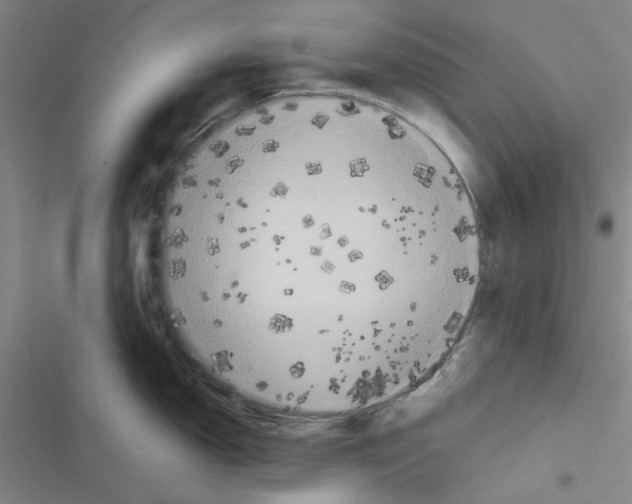X0000116561150201001211217