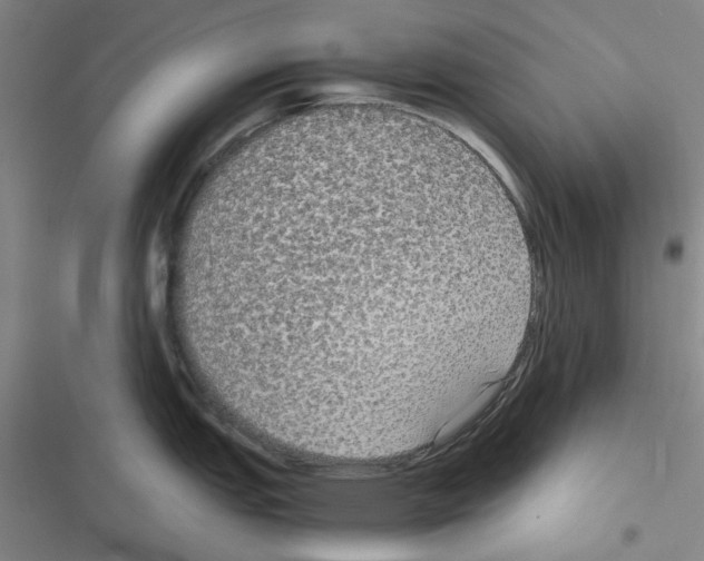 X0000116561151201001211217