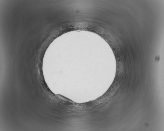 X0000116561153201001211217