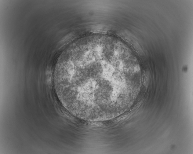 X0000116561154201001211217