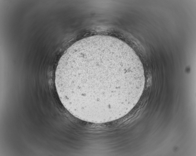 X0000116561156201001211217