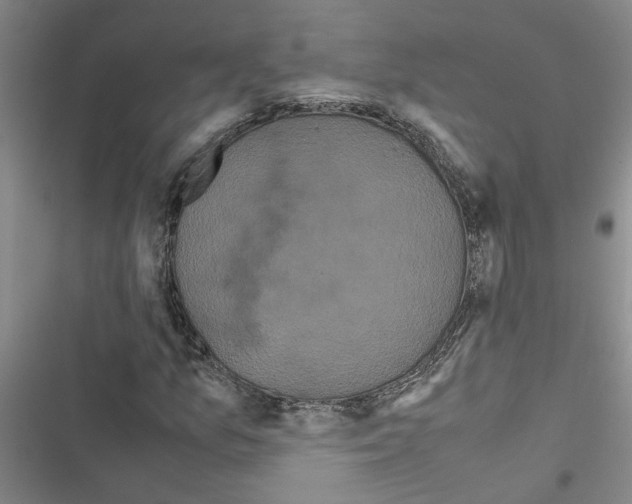 X0000116561157201001211217