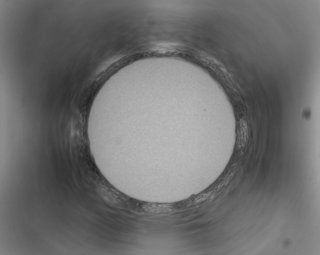 X0000116561158201001211217