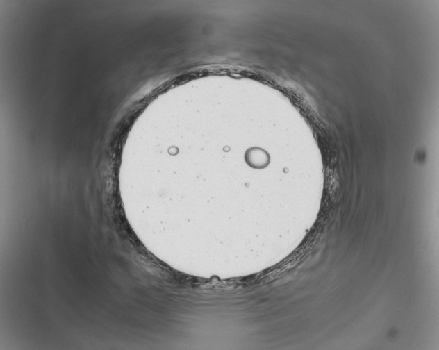 X0000116561159201001211217