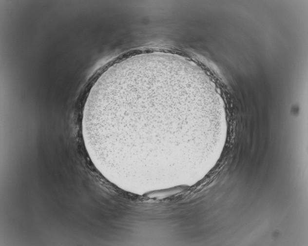 X0000116561160201001211217
