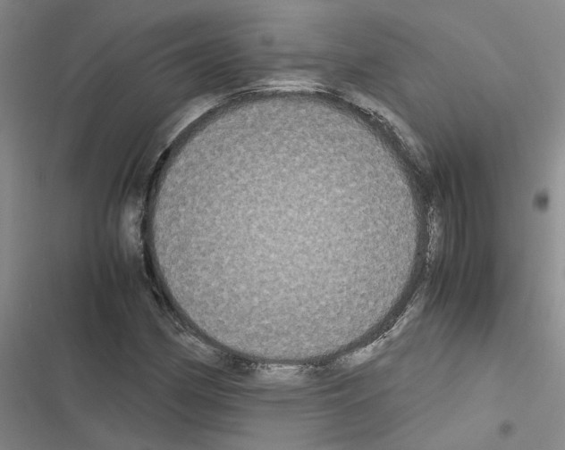 X0000116561162201001211216