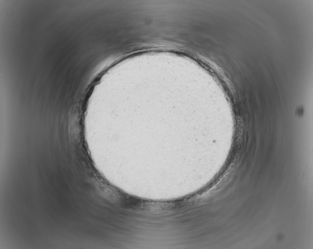 X0000116561163201001211216
