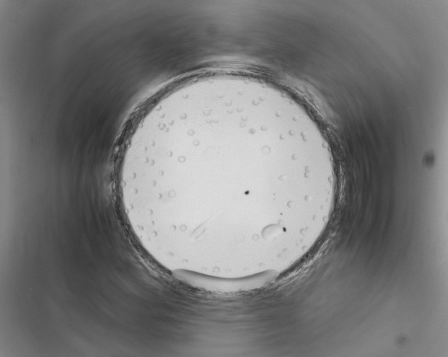 X0000116561164201001211216