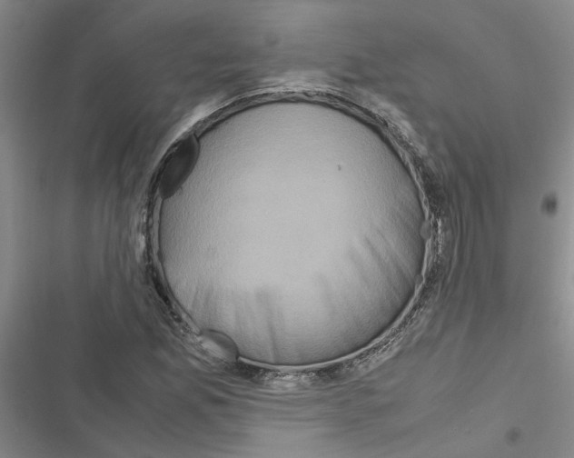 X0000116561165201001211216