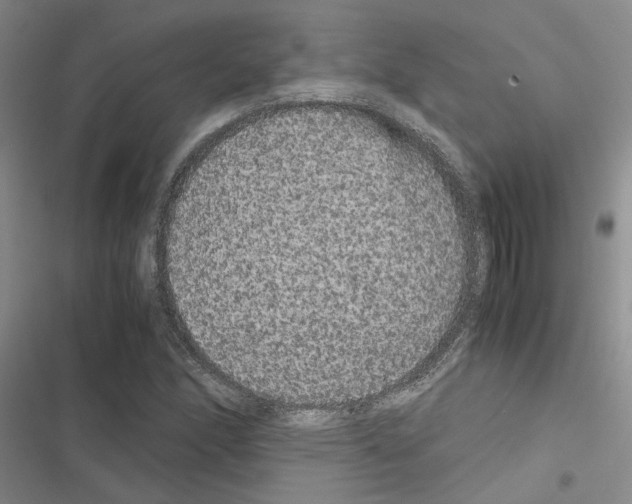 X0000116561166201001211216