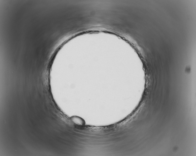 X0000116561167201001211216