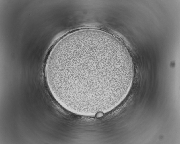X0000116561168201001211216