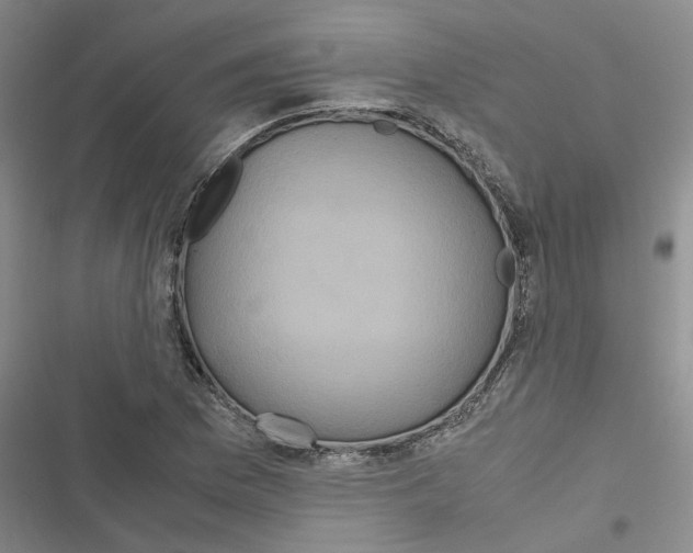 X0000116561169201001211216