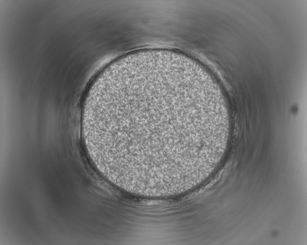 X0000116561171201001211216