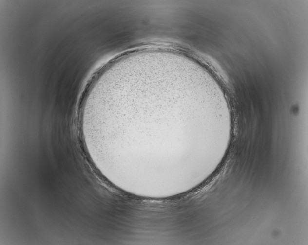 X0000116561172201001211216