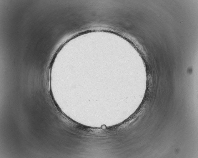 X0000116561175201001211216