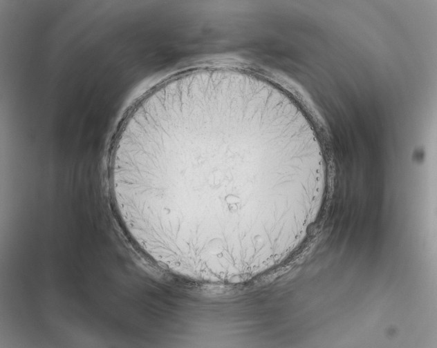 X0000116561176201001211216