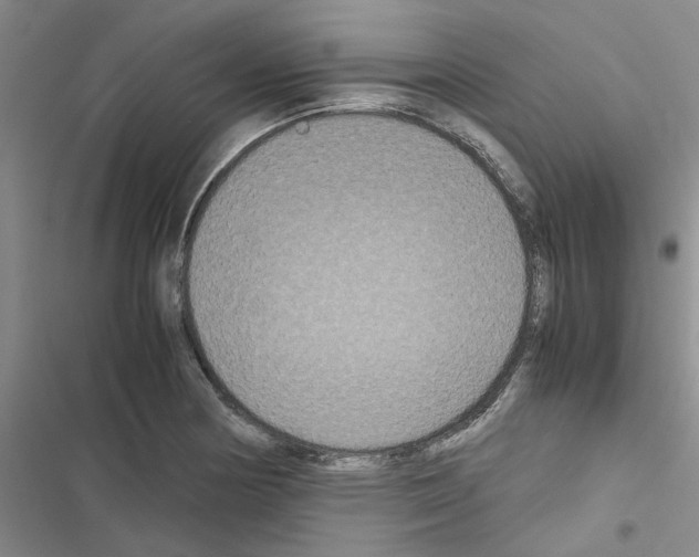 X0000116561178201001211216