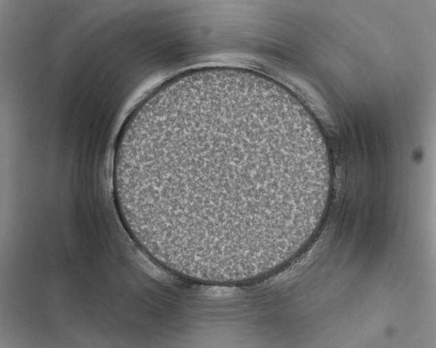 X0000116561180201001211216