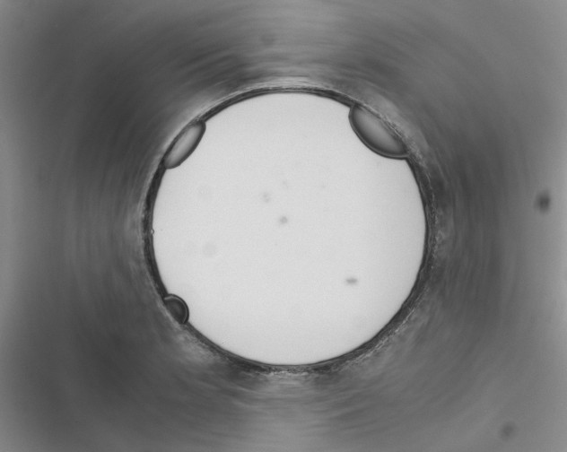 X0000116561181201001211216