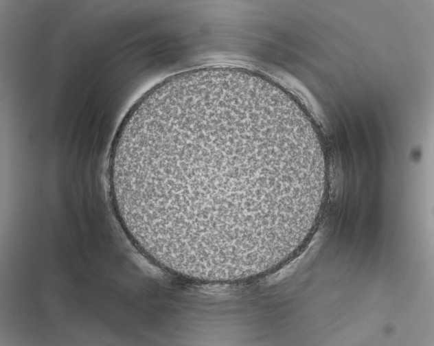 X0000116561182201001211216