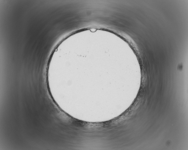 X0000116561183201001211216