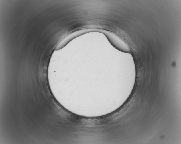 X0000116561185201001211216