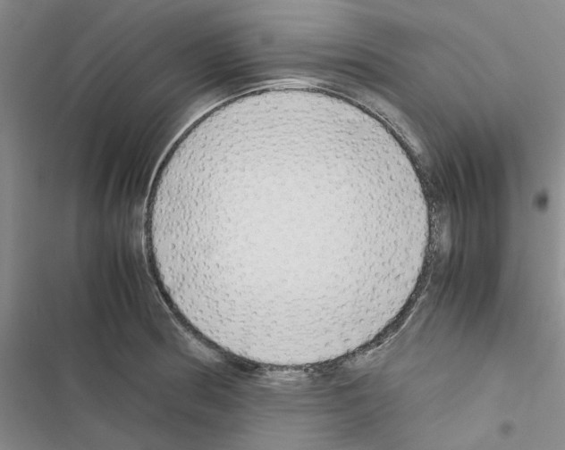X0000116561186201001211216