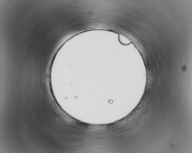 X0000116561187201001211216