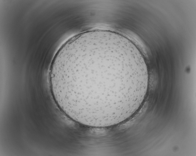X0000116561190201001211216