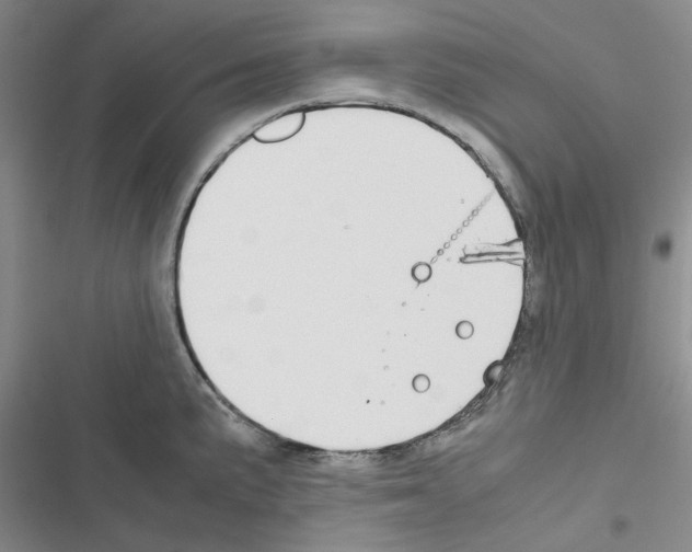 X0000116561191201001211216