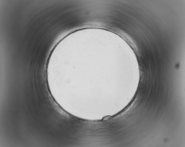 X0000116561192201001211216
