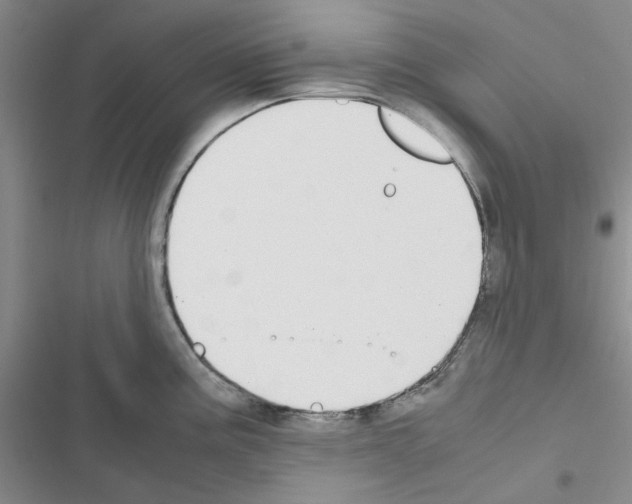 X0000116561195201001211216