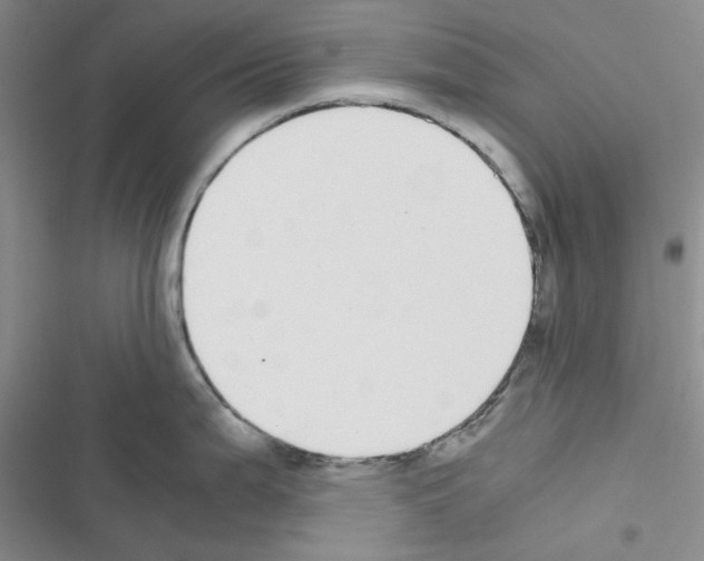 X0000116561199201001211216