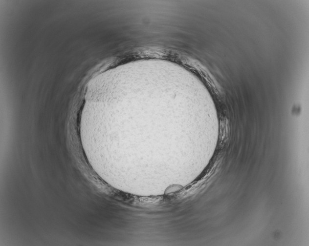 X0000116561201201001211215