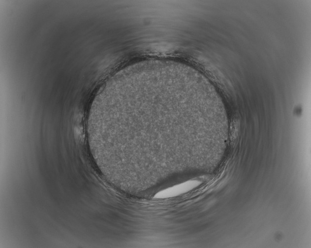 X0000116561202201001211215