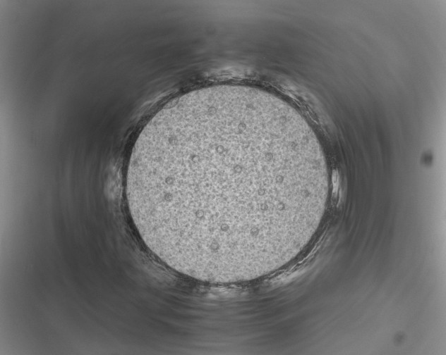 X0000116561203201001211215