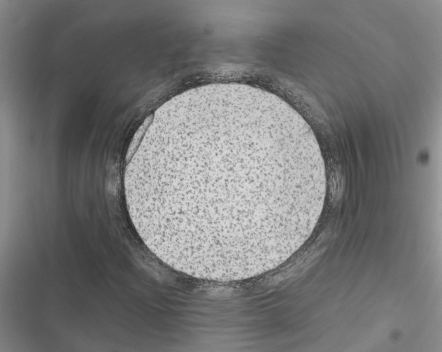 X0000116561204201001211215