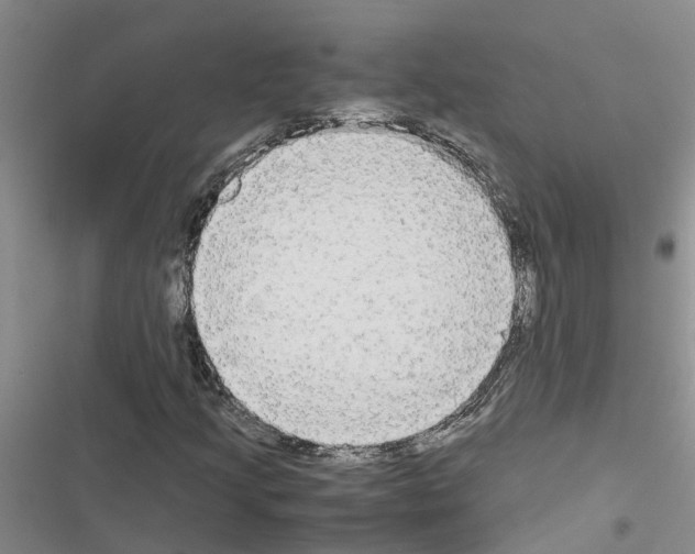 X0000116561205201001211215
