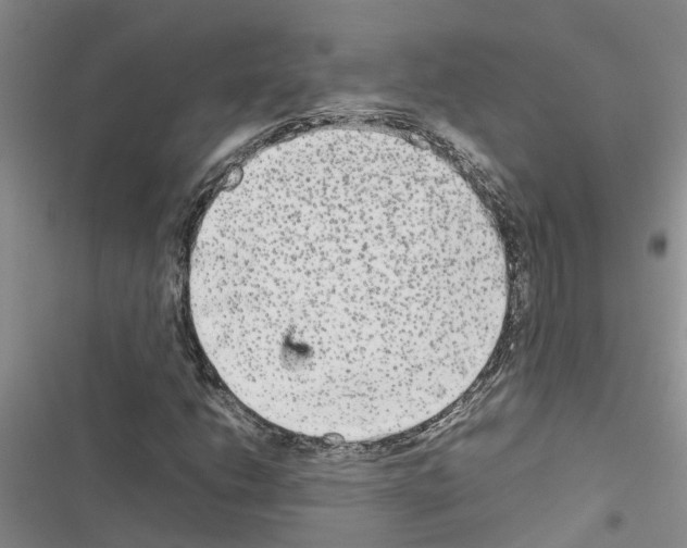 X0000116561206201001211215